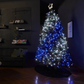 6 Pack Bundle - 600 RGB LED String Light AU Plug Generation II - Johnny Boy